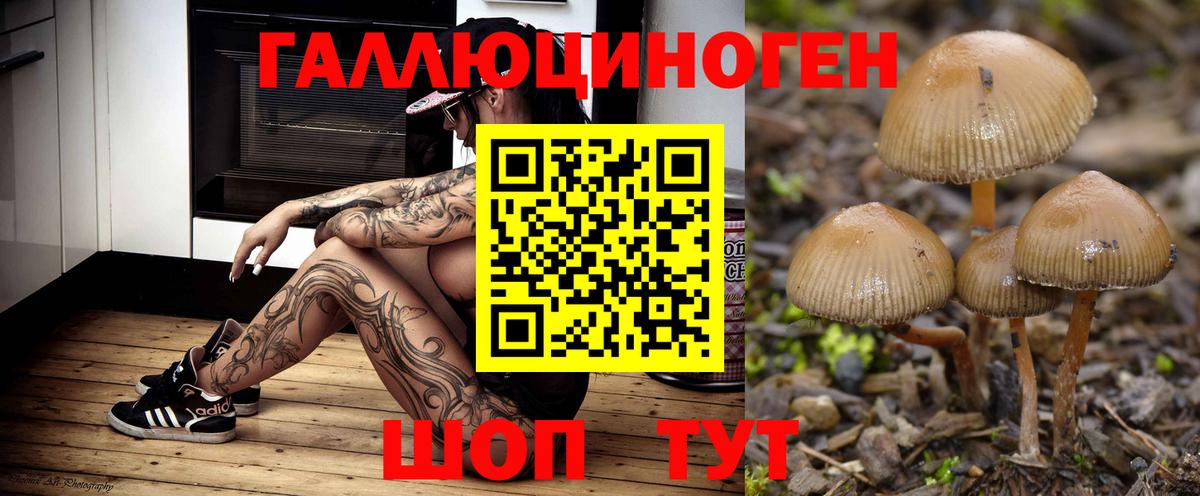 Тимашёвск  Псилоцибиновые грибы прущие грибы  Вход с VPN 