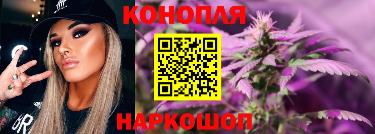 МАРИХУАНА план Тимашёвск
