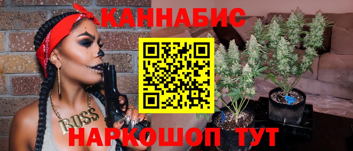 Конопля OG Kush  Вход с VPN  Тимашёвск  Конопля SATIVA & INDICA 